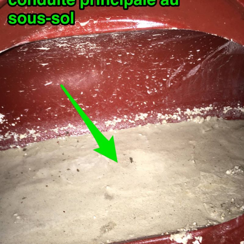 Dépannage Saverne 6
